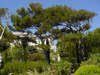 Grand-Hotel du Cap-Ferrat 